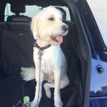 Petco - AFTER - Pet Stores Near Me - Dallas, Texas