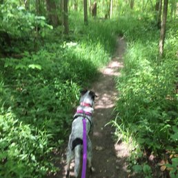 One of the "back" trails
