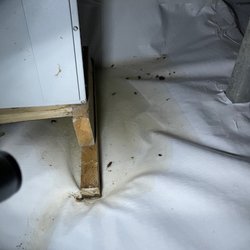 The Foundation Guys - Water collecting and not draining to sump.