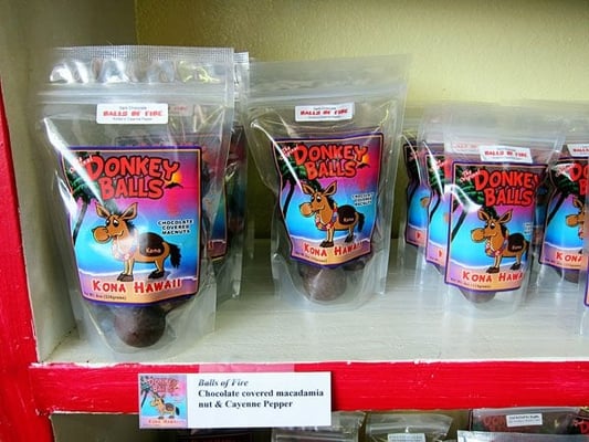 The Original Donkey Ball Store by null