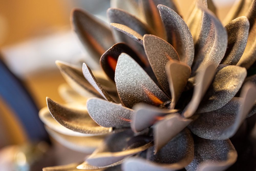 The Secret Chocolatier