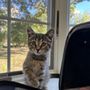 Photo of Poppy Hill Vet