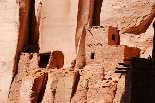 Navajo National Monument by null