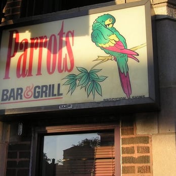 Parrots Bar & Grill - a parrot on a branch - Bars Near Me - Chicago, Illinois Parrots Bar & Grill - a parrot on a branch - Bars Near Me - Chicago, Illinois