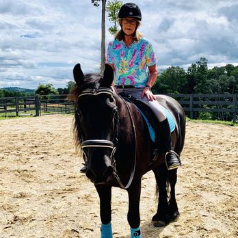 Friesian Marketplace - Ynze & Rebecca - Horse Boarding Near Me