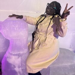 The Minnesota Ice Festival