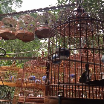 園圃街雀鳥花園 - Parks Near Me - Hong Kong, HK