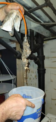 Most Wanted Drain Clean & Pipe Bursting Logo