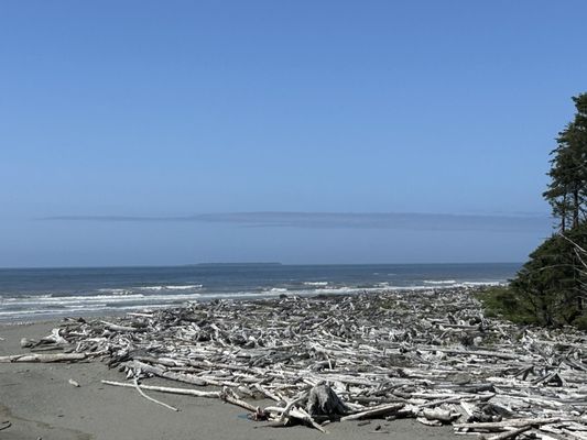 Kalaloch Campground by null