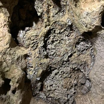 Stark Caverns - Parks Near Me - Eldon, Missouri