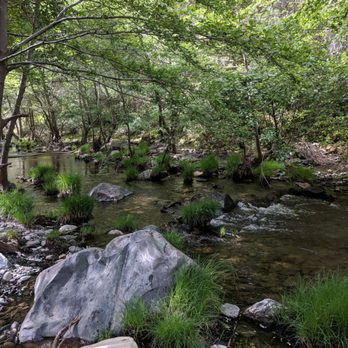 Sunol Regional Wilderness Area - Stream - Parks Near Me - Sunol, California Sunol Regional Wilderness Area - Stream - Parks Near Me - Sunol, California