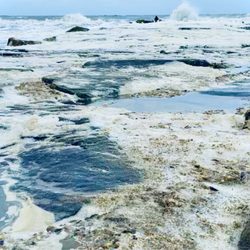 Longport Point - Longport point