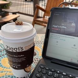 Ziggi's Coffee