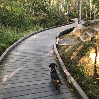 Narbeck Wetland Sanctuary - Parks Near Me - Everett, Washington Narbeck Wetland Sanctuary - Parks Near Me - Everett, Washington