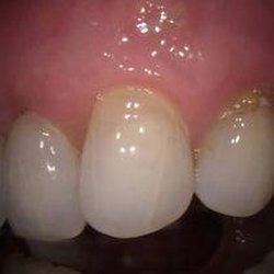 Endodontic & Periodontic Associates