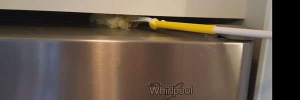 Sudsy Sponge Cleaning