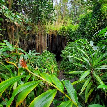 Kaumana Caves - Parks Near Me Kaumana Caves - Parks Near Me