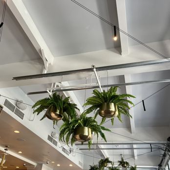 Great Maple - Hidden Mickey! - Breakfast & Brunch Near Me - Anaheim, California