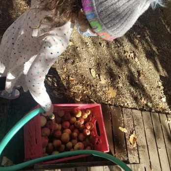Willowbrook Apple Farm - Pick Your Own Farms Near Me - Oak Glen, California