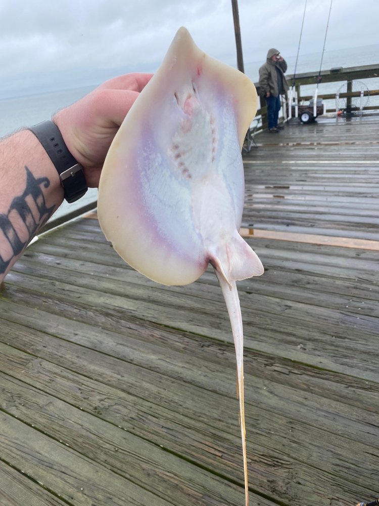 OCEAN ISLE BEACH PIER - 23 Photos & 38 Reviews - Breakfast & Brunch - 1