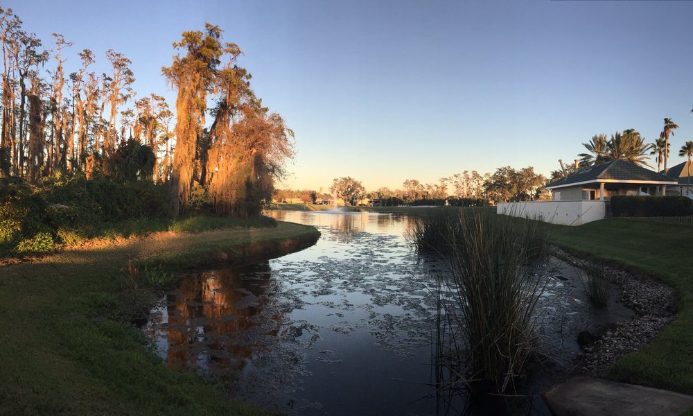 CRANES ROOST BAR & GRILL 15 Reviews 1850 Crane Lakes Blvd, Daytona