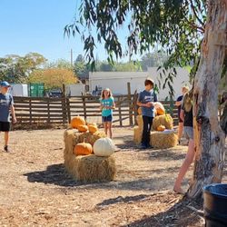 Sons Farm Fresh - Big kids playing tag