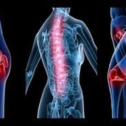 Hansen Chiropractic - Treating the Whole Person