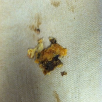 Taco Bell - Mysterious, hard, black, bitter breaded object found in my burrito. Manager did not reply when he got the photos. - Fast Food Near Me - West Des Moines, Iowa Taco Bell - Mysterious, hard, black, bitter breaded object found in my burrito. Manager did not reply when he got the photos. - Fast Food Near Me - West Des Moines, Iowa