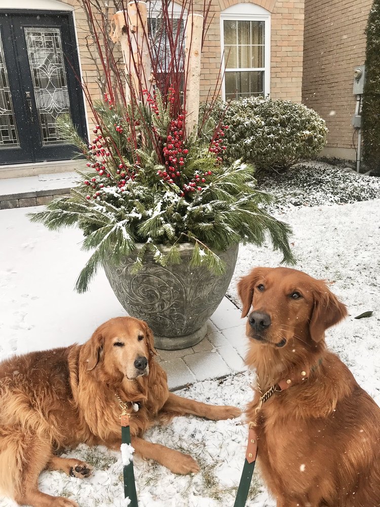 BLACK FOREST GARDEN CENTRE Updated September 2024 15445 Keele