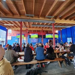 Satellite Tavern - Patio (tvs also on other side and dogs allowed)