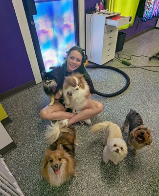 Doggy Style Salon by null