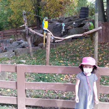 Nova Wild - Petting Zoos Near Me - Vienna, Virginia
