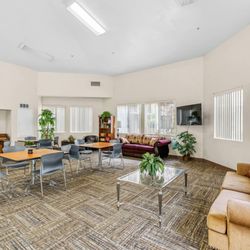 Harvard Yard and Glenmary Apartments - Social Lounge Couch and Piano at Harvard Yard Apartments
