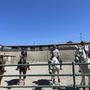 Photo of TK Dressage Unlimited