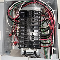 Elite Power Electric - Main Panel Inspection