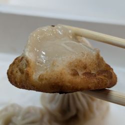 Juicy Dumpling - Pan-fried chicken dumpling
