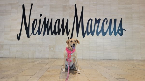 Neiman Marcus by null