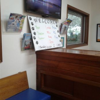 Oaks Veterinary Hospital - The board of today's patients is too cute. - Veterinarians Near Me - Gainesville, Florida Oaks Veterinary Hospital - The board of today's patients is too cute. - Veterinarians Near Me - Gainesville, Florida