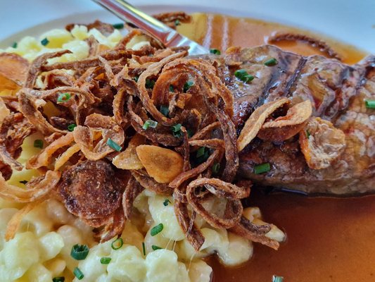 Ratskeller Augsburg by null