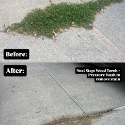 Before and after for weeds in driveway