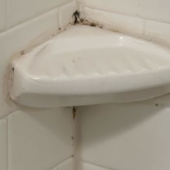 Fairfield - Mold and mildew - Hotels Near Me - Palm Coast, Florida Fairfield - Mold and mildew - Hotels Near Me - Palm Coast, Florida