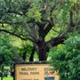 Photo of Military Trail Park
