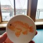 Seattle Aquarium Cafe