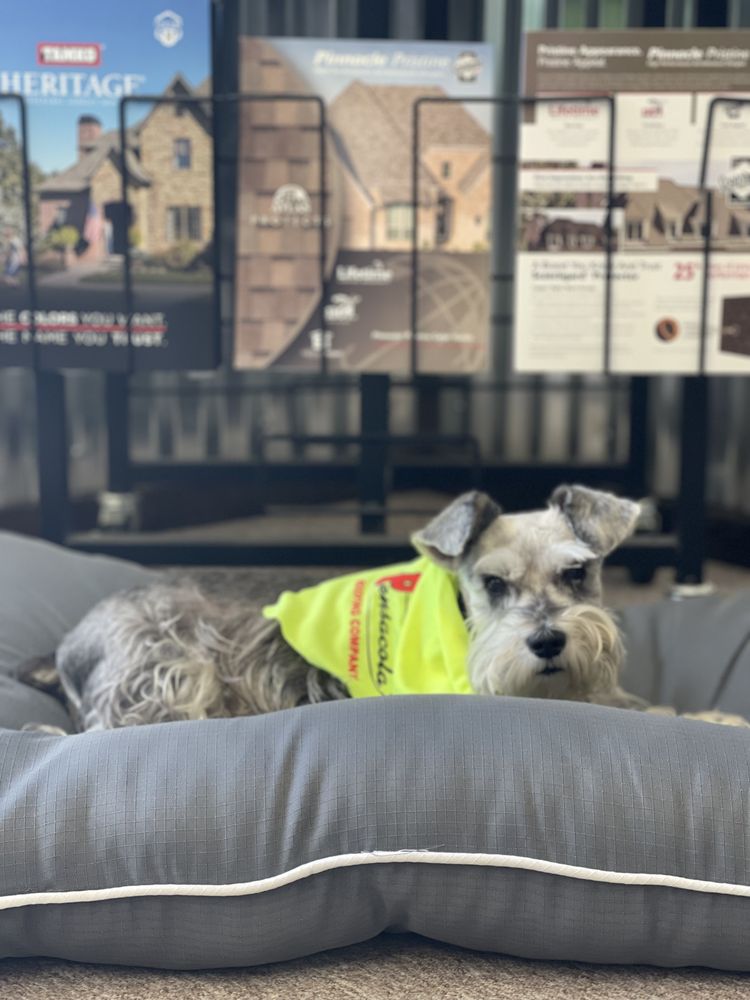 Slide of Pensacola Roofing and Fencing