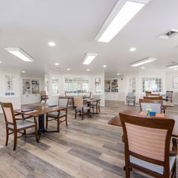 Arbor Terrace Knoxville