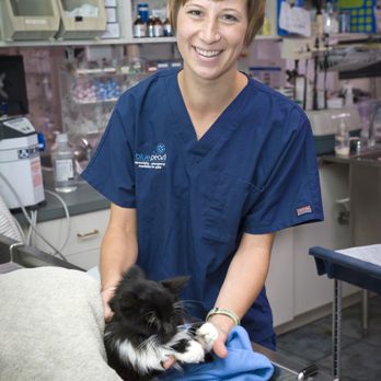 BluePearl - Veterinarians Near Me - Blaine, Minnesota