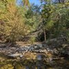 St Edwards Park gift card