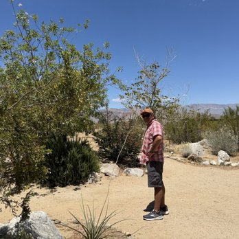 Los Jilbertos - Mexican Near Me - Borrego Springs, California
