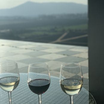 Viña Indómita - Casablanca, VS