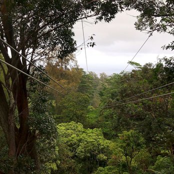Kohala Zipline - Tours Near Me - Hawi, Hawaii Kohala Zipline - Tours Near Me - Hawi, Hawaii